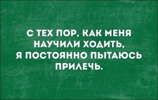 Подборочка из 15 добрых и смешных историй из интернета от простых людей 