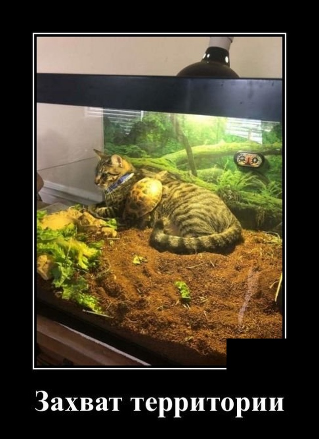 Не знаю, как у нас рассчитывали прожиточный минимум.. анекдоты,веселье,демотиваторы,приколы,смех,юмор