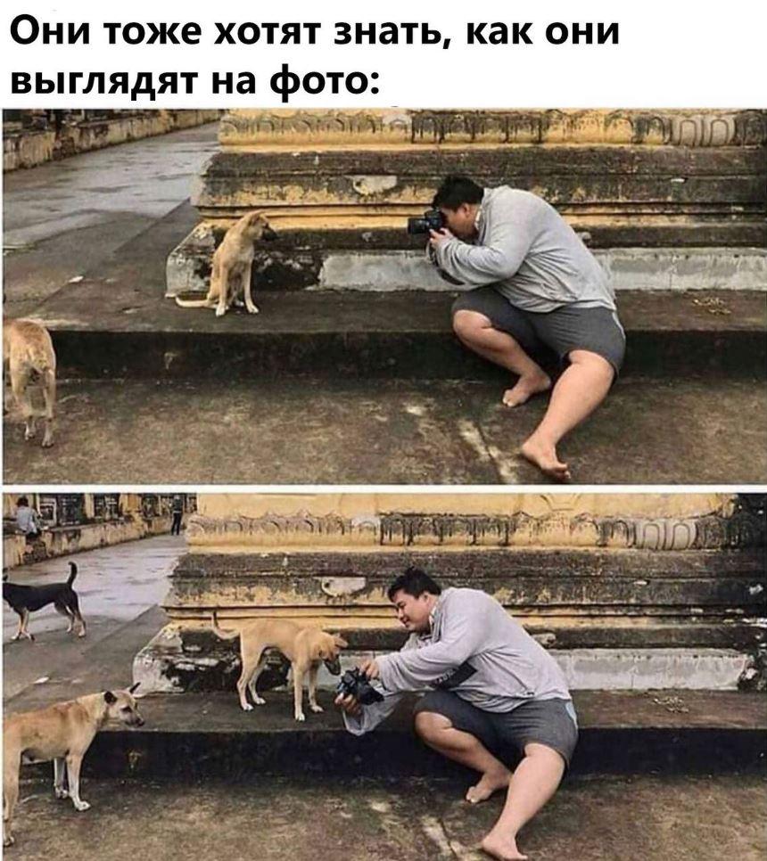 Лучшие приколы дня, картинки с надписями, смех до слез Лучшие приколы дня, картинки с надписями, смех до слез