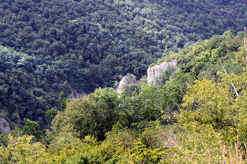 Бойка Бойка путешествия