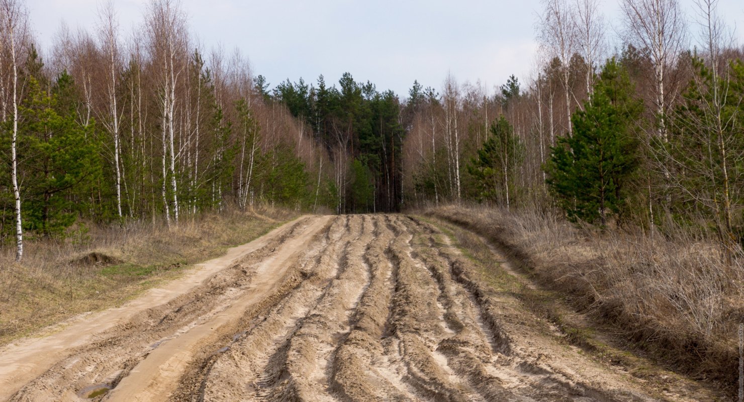 Какие ошибки совершают автомобилисты на грунтовой дороге