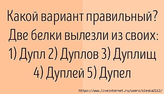 Особенности русского языка в весёлых картинках :-))) истории из жизни