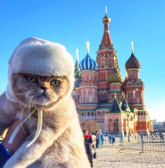 Смешная картинка про москву
