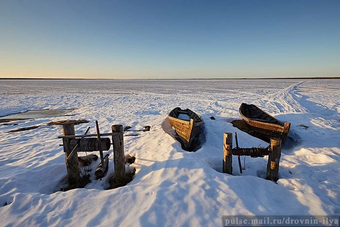Среди Архангельской тайги особо выделяется Кенозеро, его берега изрезаны ледником так, что сверху оно выглядит как рваное полотно