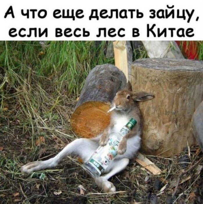 Деграклассники Деграклассники