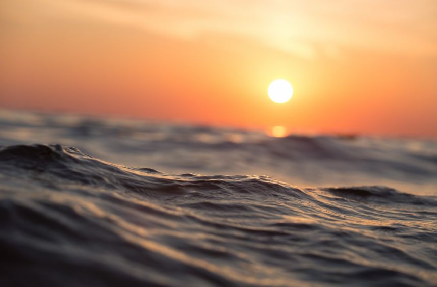 Жителей и гостей Сочи предупредили об ограничении купания на пляже Дагомыс Общество