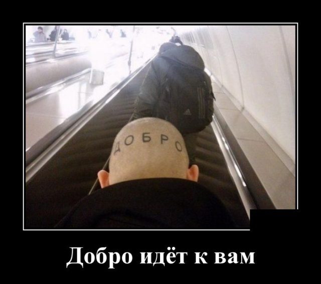 Самые забавные демотиваторы