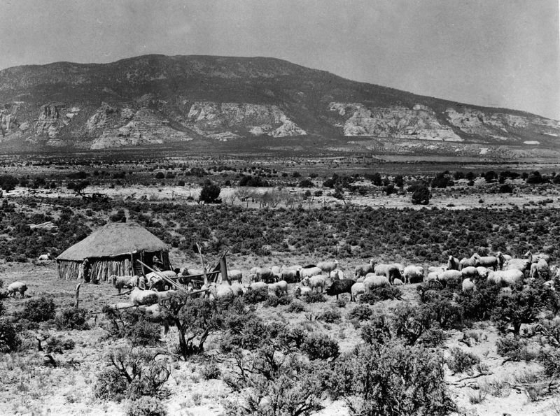 Горы Навахо. Юта, 1948 индейцы, история, навахо, фотография