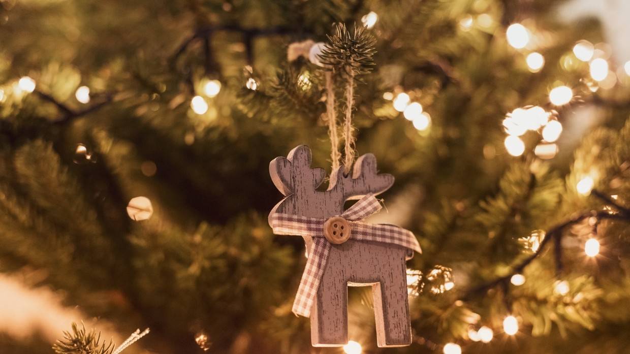 Каждый десятый опрошенный россиянин признался, что уже нарядил новогоднюю елку