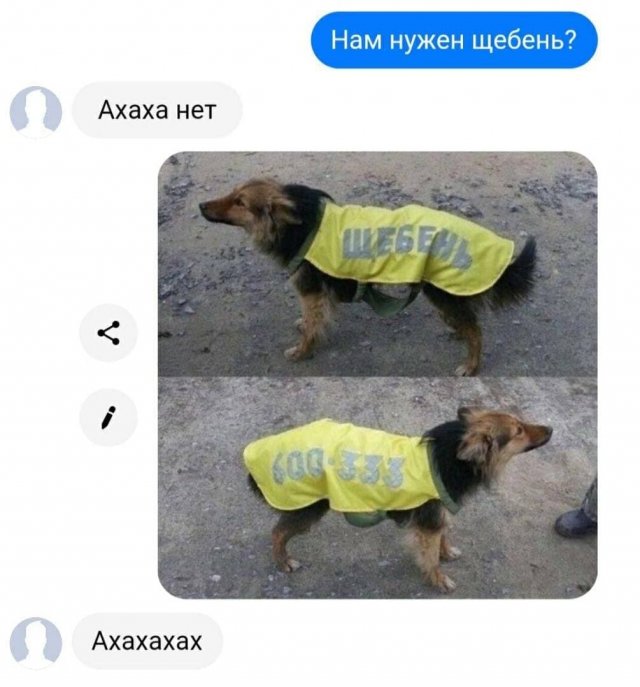 Комментарии из соц.сетей и забавные смешные СМС-переписки Комментарии из соц.сетей и забавные смешные СМС-переписки