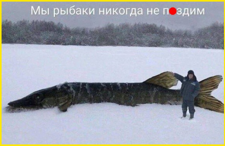 Я не умная, я опытная. Была бы умной — не была бы такой опытной 