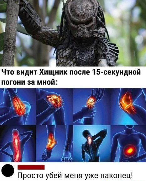 Подборка острого и яркого юмора 