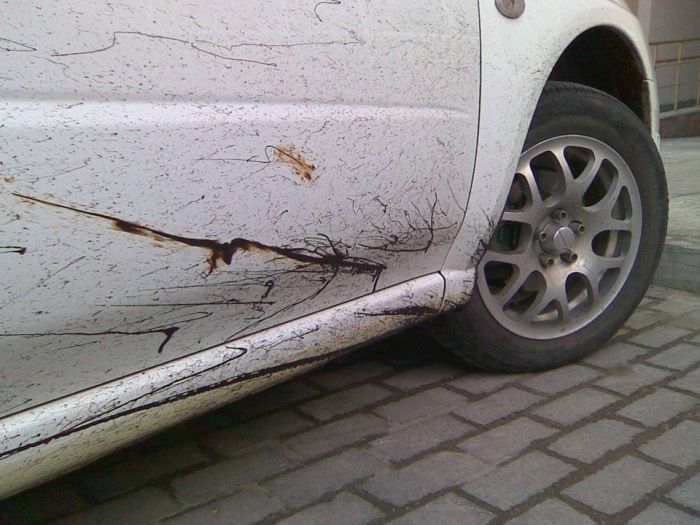 5 распространенных и типичных ошибок при использовании WD-40 в автомобиле 5 распространенных и типичных ошибок при использовании WD-40 в автомобиле WD-40,авто и мото,автоновости,автосоветы