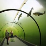 Уникальный туннель под озером в Чехии