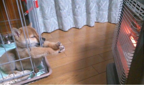 Давайте улыбаться вместе :) Давайте улыбаться вместе :)