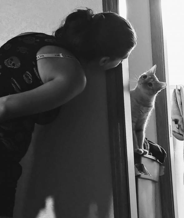 Пусть он ходит везде с тобой, там поймешь, кто такой..) веселые картинки