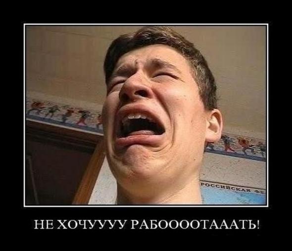 Утро понедельника :) 