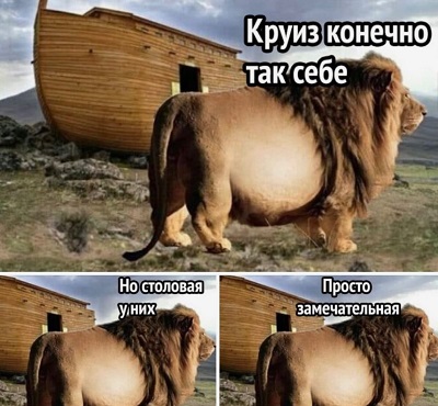 Современные парадоксы: когда реальность смешнее анекдота