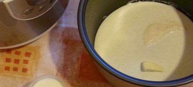 Как приготовить манную кашу на молоке для детей и не только? блюда из круп,рецепты