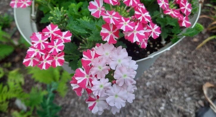 Фотография: 33 любопытных и редких находки, которыми люди поделились в сети №16 - BigPicture.ru