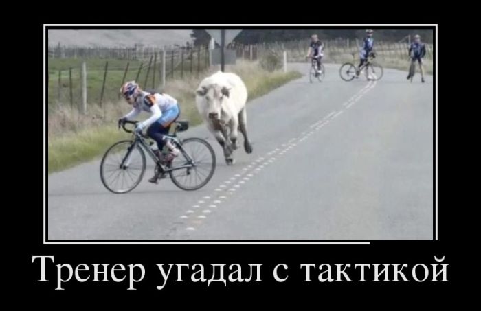 Пятничные демотиваторы для классного настроения и веселья Пятничные демотиваторы для классного настроения и веселья демотиваторы свежие,смешные демотиваторы,юмор