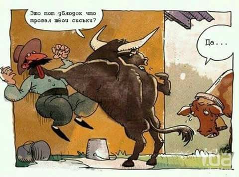    : -    ...