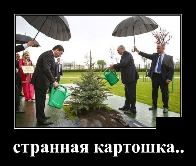 Смешные позитивные демотиваторы обо всем на свете 