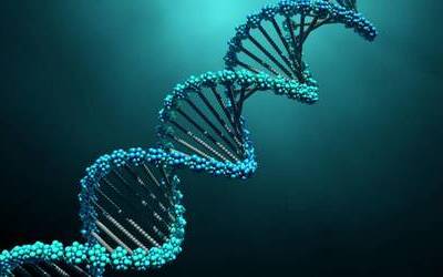 ДНК не является центром, вокруг которого формируется все живое, полагают биологи