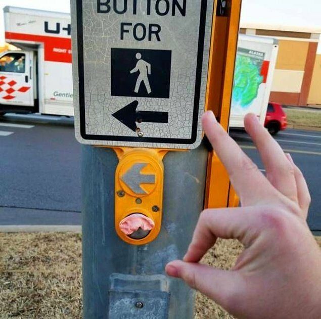 Этих людей надо срочно вывезти в лес и оставить там жить Этих людей надо срочно вывезти в лес и оставить там жить