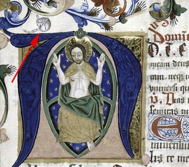 Кошки в Средние века Кошки в Средние века история