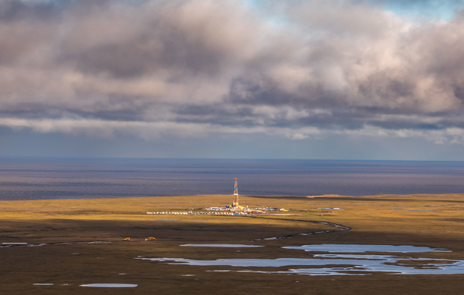 «Газпром нефть» расширила поисковый кластер на побережье Карского моря