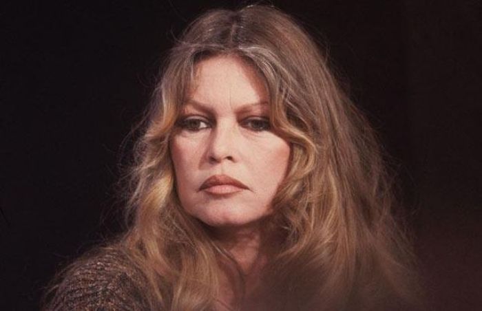 Брижит Бардо – 85: Две жизни одной из самых красивых и непредсказуемых актрис Брижит Бардо – 85: Две жизни одной из самых красивых и непредсказуемых актрис актрисы,Брижит Бардо,знаменитости,мода и красота,стиль жизни