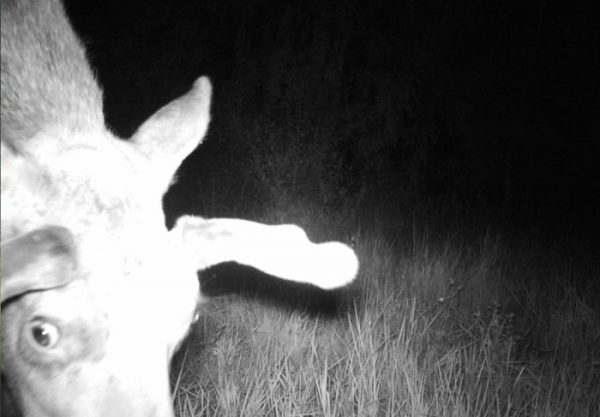 ������� ��������� ����������� ����� ���������. ������ ������������� �����������!