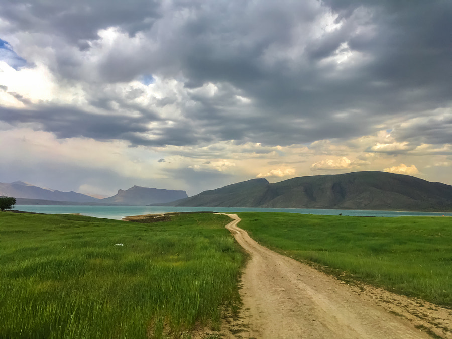 Untitled by Mansour Foroughi on 500px.com