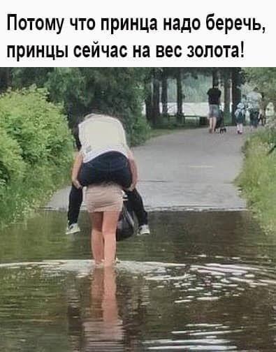 Пёстрая коллекция юмора Пёстрая коллекция юмора