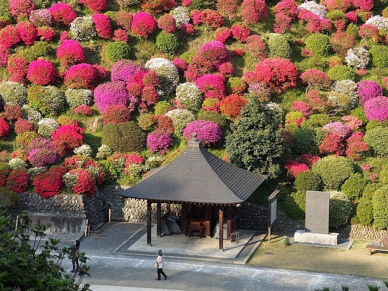 Shiofune-Kannon-ji Temple – буддийский храм, окруженный разноцветными кустами азалии авиатур