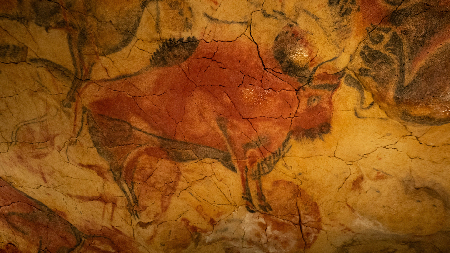 Мегафауна африки и хомо спиенс