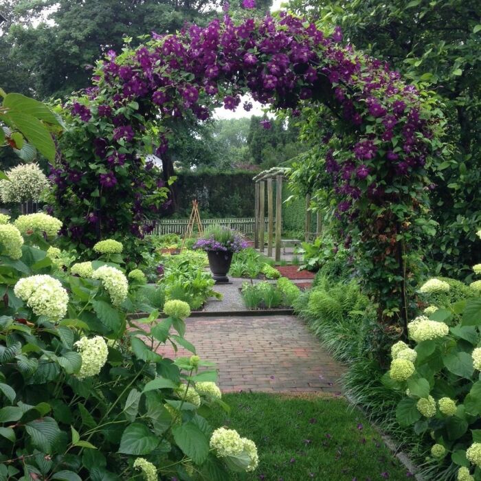 Что нужно знать о садовых арках и как подобрать к ним цветы для дома и дачи,идеи и вдохновение