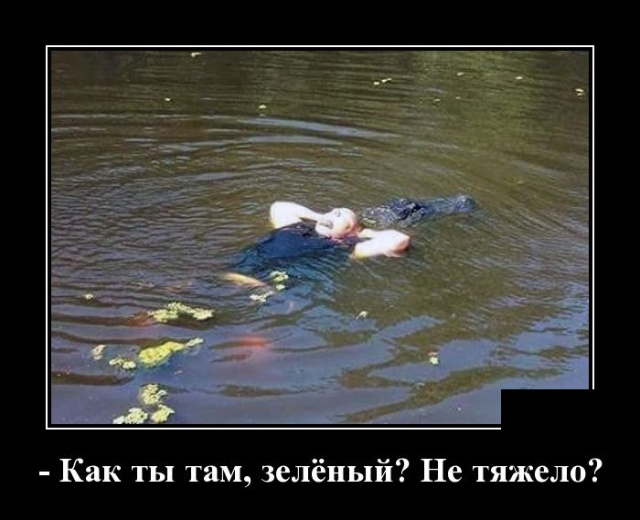 Самые новые демотиваторы Самые новые демотиваторы демотиваторы