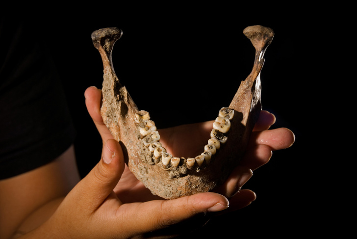 Как лечили зубы древние люди? история медицины,медицина