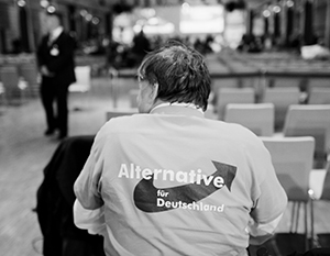 Германия убьет «Альтернативу» из-за страха проиграть на Украине