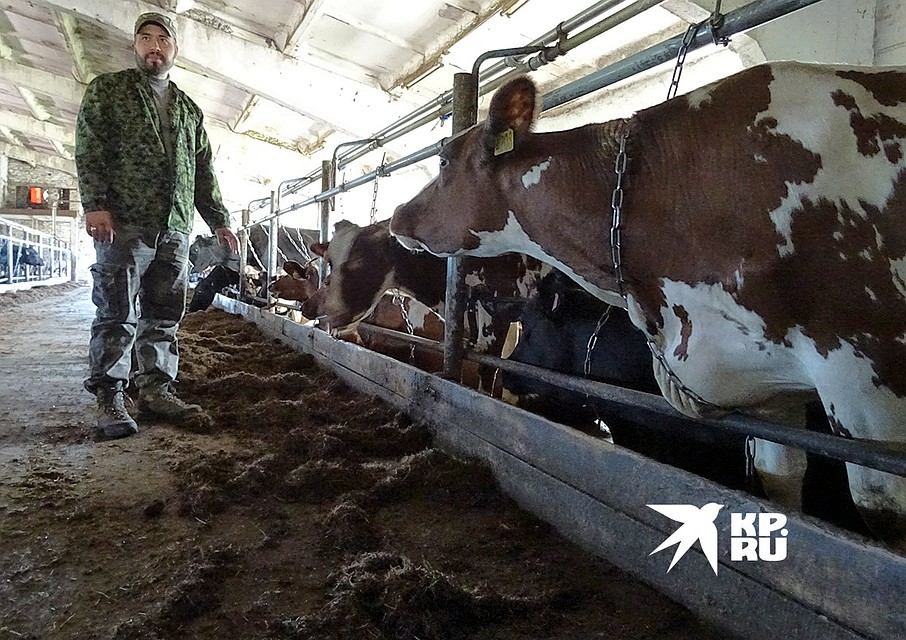 В одной маленькой, но гордой республике власти устроили бюрократическое «ревизорро» упрямому фермеру Ивану общество