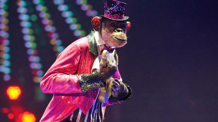 Людей заменят счастливые обезьяны. Будущее человечества по Илону Маску