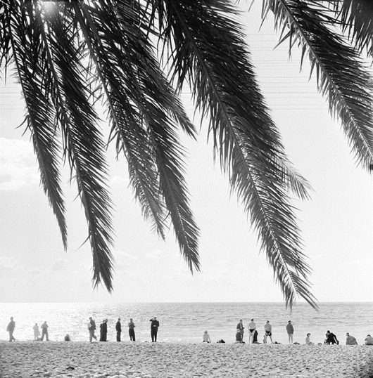 Советский Сухуми 1950-х годов Советский Сухуми 1950-х годов