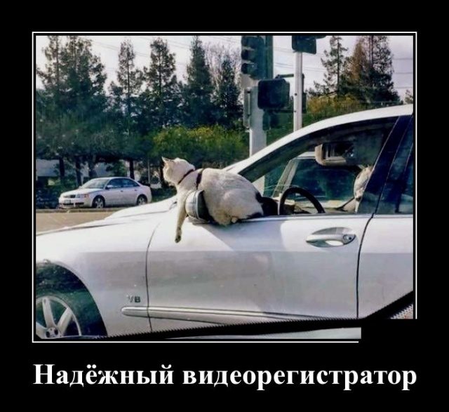 Самые забавные демотиваторы Самые забавные демотиваторы