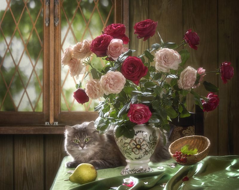Сидела кошечка в окошке, встречала теплую весну. Натюрморты Ирины Приходько Фотография