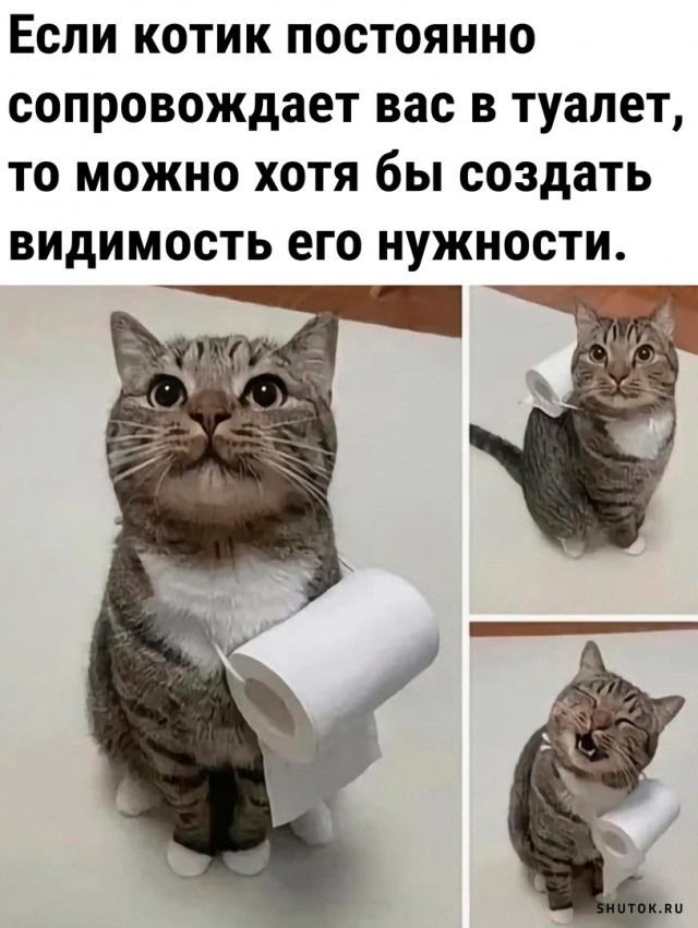 Сначала было слово. Но судя по тому, как события стали развиваться дальше, слово было матерным Сначала было слово. Но судя по тому, как события стали развиваться дальше, слово было матерным когда, пытается, самая, конечно, думаю, очереди, стало, баксов, поставить, мужик, видит, детей, очень, человек, общем, стариков, сделать, потом, одном, место