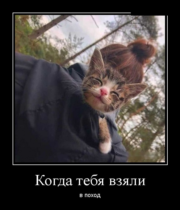 Женщины влюбляются в то, что слышат, а мужчины — в то, что видят анекдоты