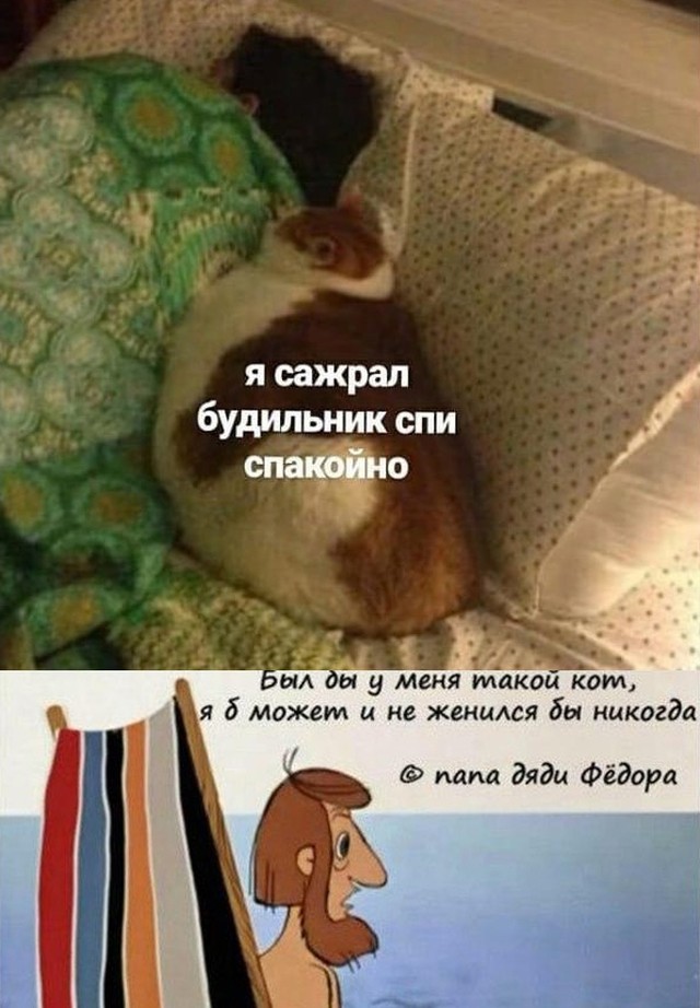 Подборка смешных картинок  приколы,смешные картинки,юмор