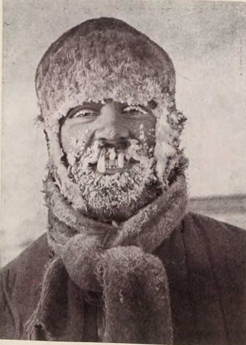 Челюскин фото. Семён Иванович Челюскин. Семён Ива́нович Челю́скин. Челюскин семён Иванович портрет.